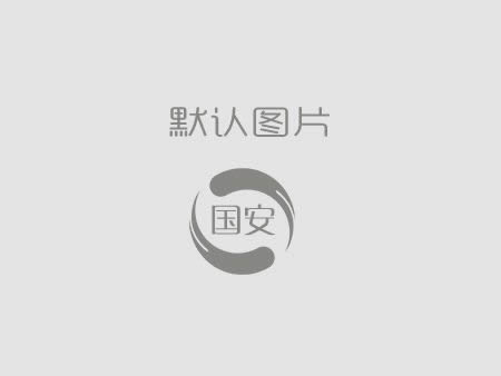 國(guó)安建設(shè)丨公司今年怎么干？